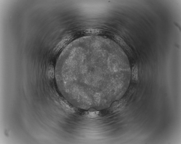 X0000100310474200806261206