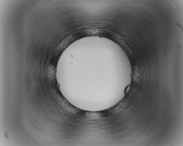 X0000100310476200806261206