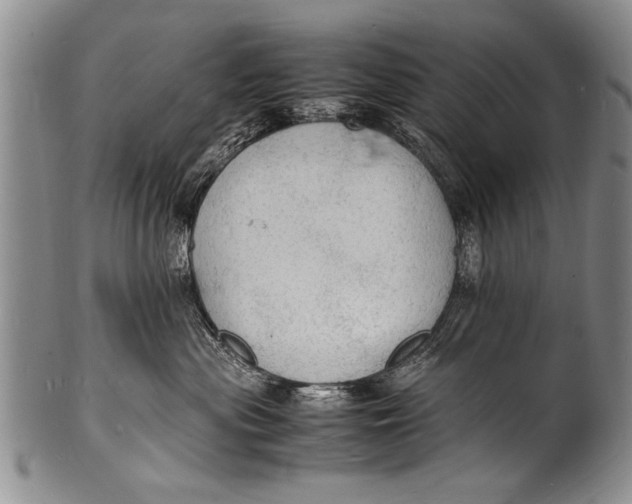 X0000100310477200806261206