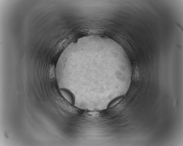 X0000100310478200806261206