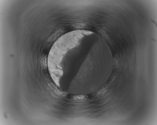 X0000100310479200806261206