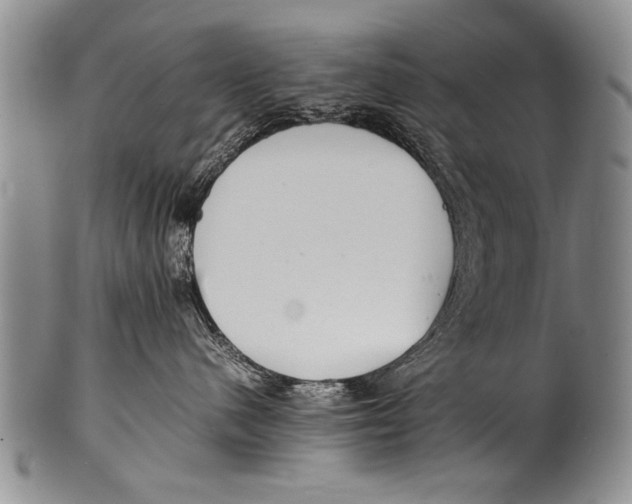 X0000100310480200806261206