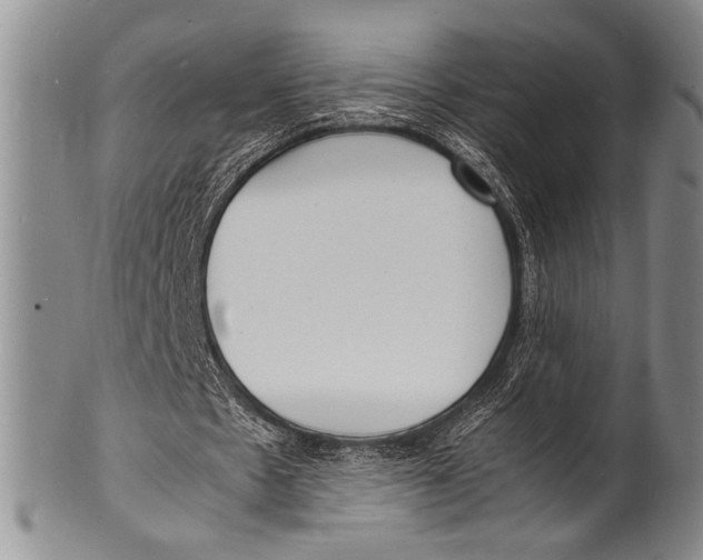 X0000100310481200806261206