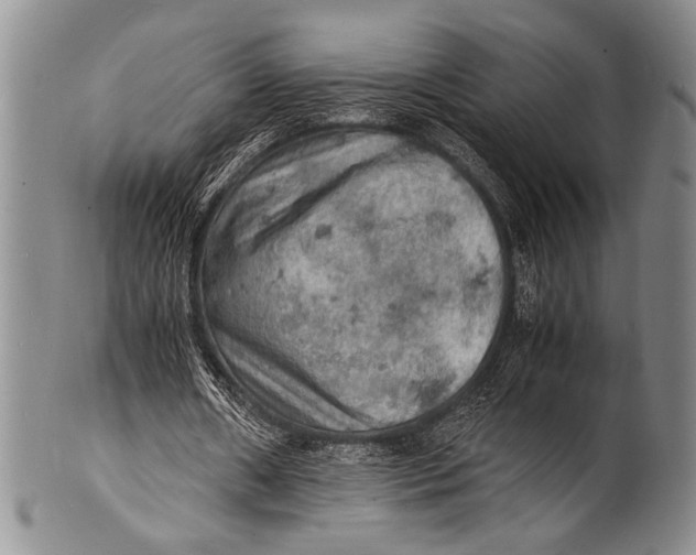 X0000100310482200806261206