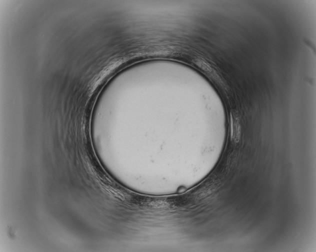 X0000100310483200806261206