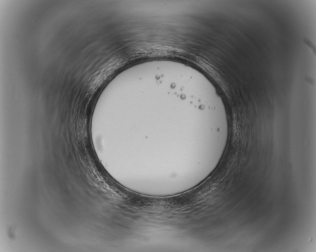 X0000100310485200806261206