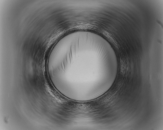 X0000100310486200806261206