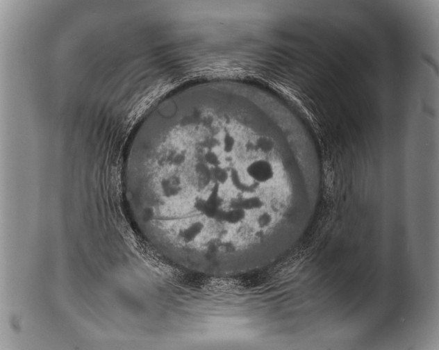 X0000100310487200806261206