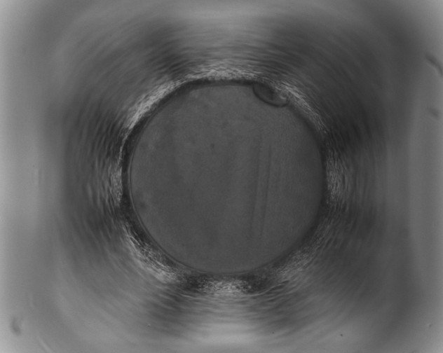 X0000100310488200806261206