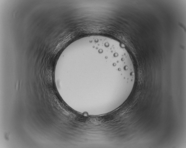 X0000100310489200806261206