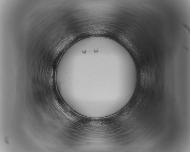 X0000100310490200806261205