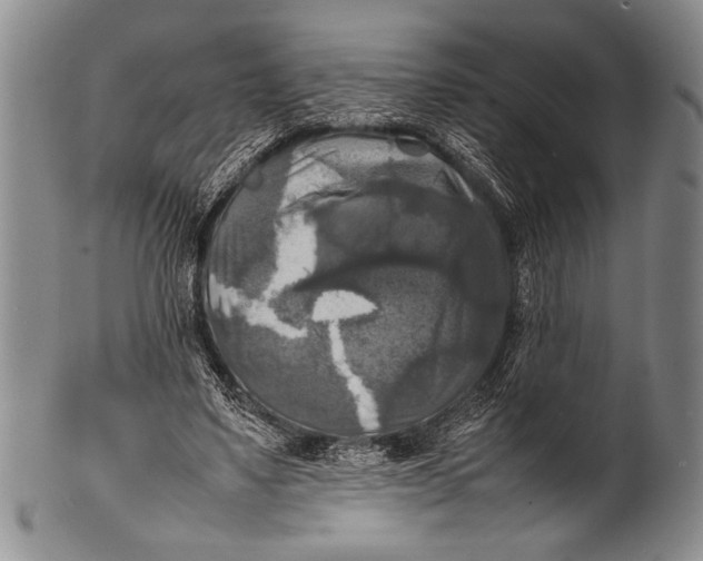 X0000100310491200806261205