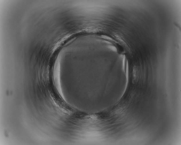 X0000100310492200806261205