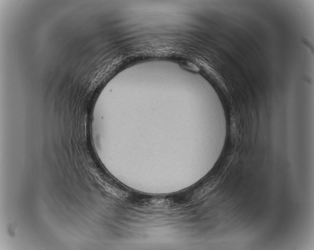 X0000100310493200806261205