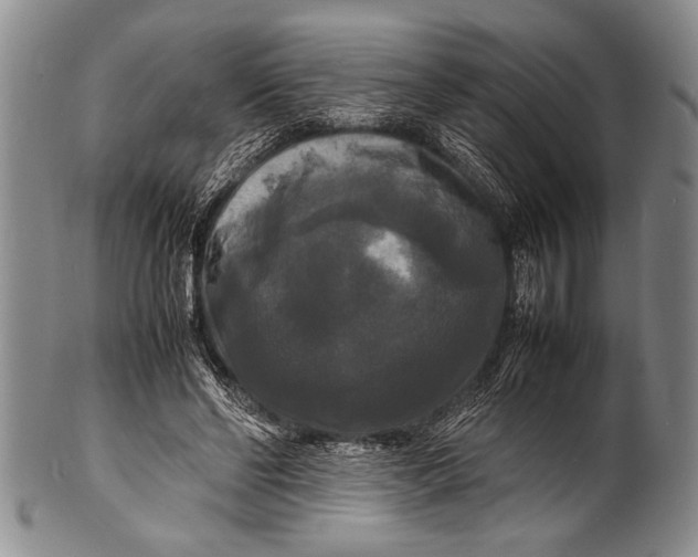 X0000100310494200806261205