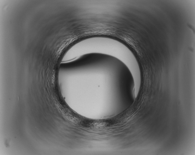 X0000100310495200806261205