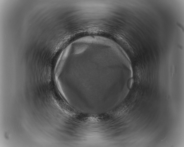 X0000100310496200806261205