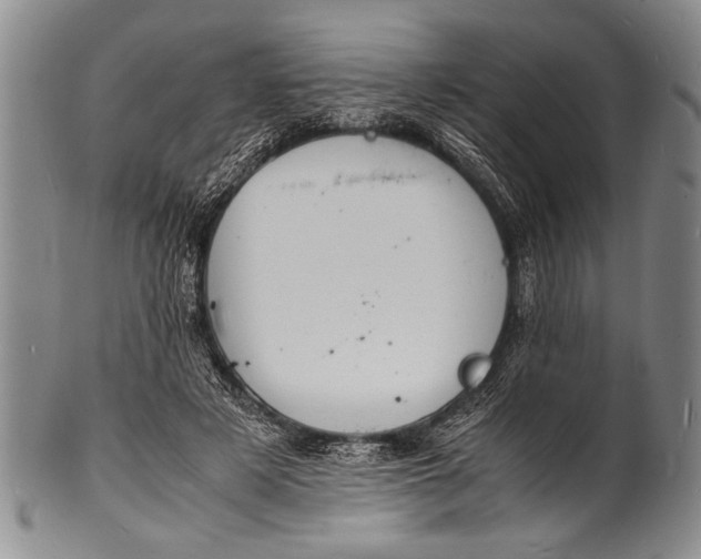 X0000100310497200806261205