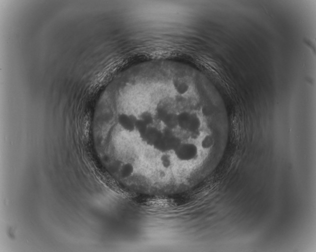 X0000100310499200806261205