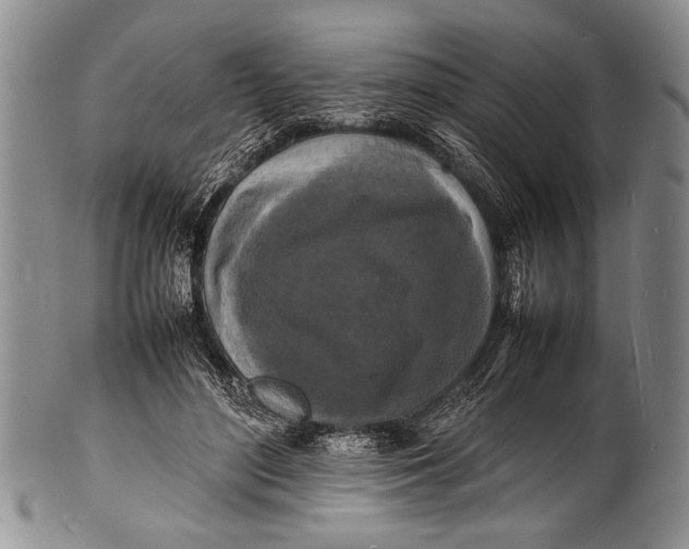 X0000100310500200806261205