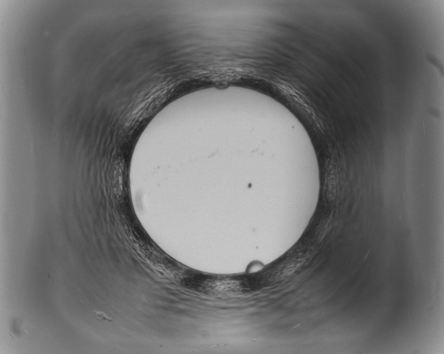 X0000100310501200806261205