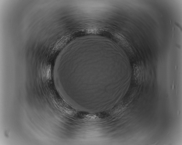 X0000100310502200806261205