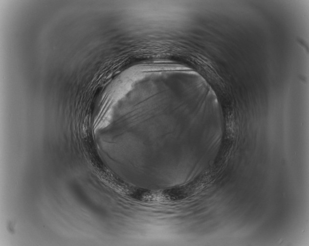 X0000100310503200806261205