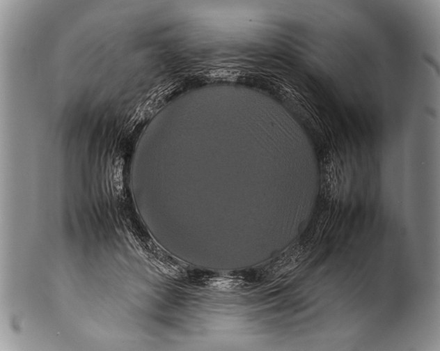 X0000100310504200806261205