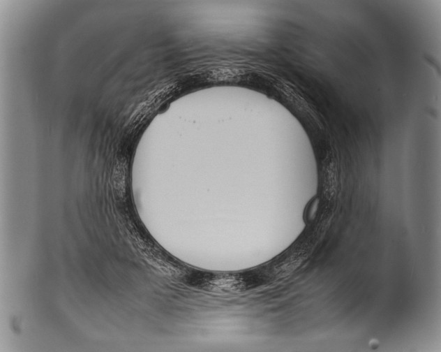 X0000100310505200806261205