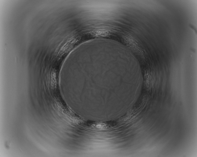 X0000100310506200806261205