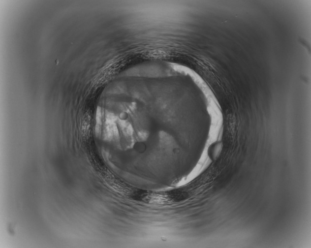 X0000100310507200806261205