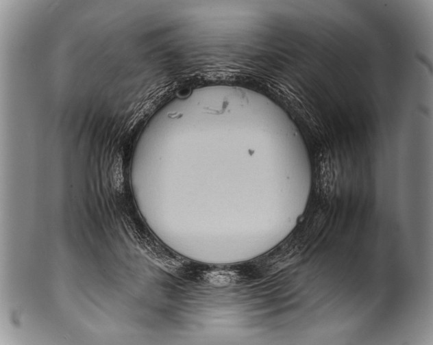 X0000100310508200806261205