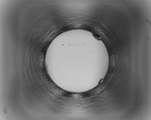 X0000100310509200806261205