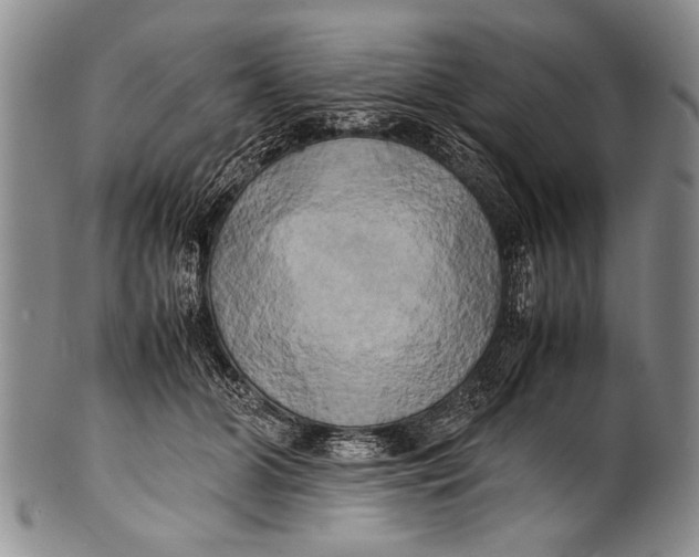 X0000100310510200806261205