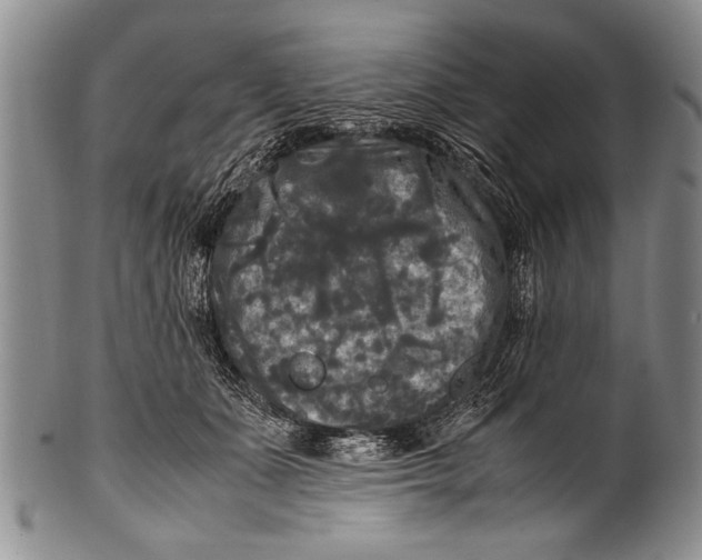 X0000100310511200806261205