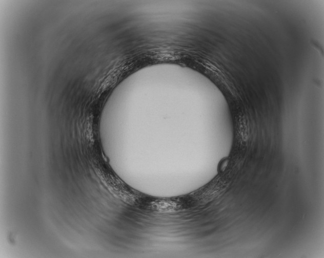 X0000100310512200806261205