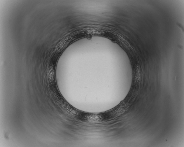 X0000100310513200806261205