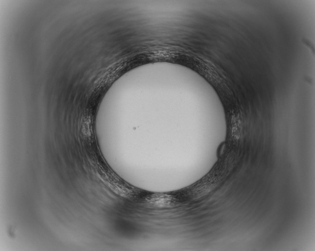 X0000100310514200806261205