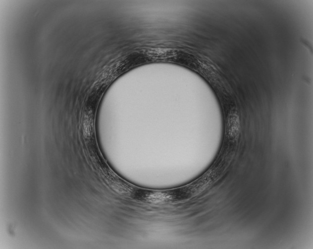 X0000100310515200806261205