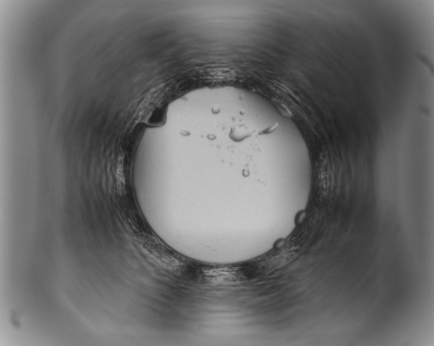 X0000100310516200806261205