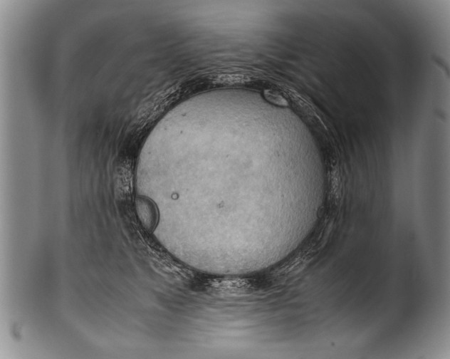 X0000100310517200806261205