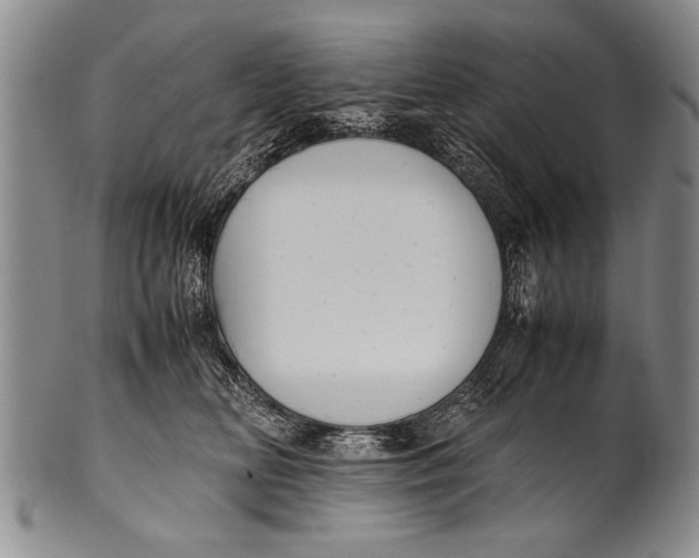 X0000100310518200806261205