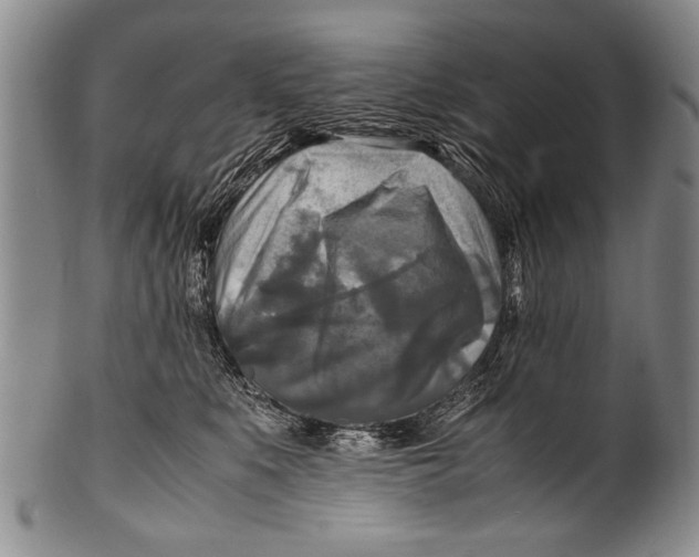 X0000100310519200806261205