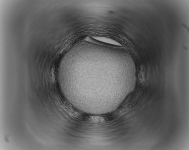 X0000100310520200806261205