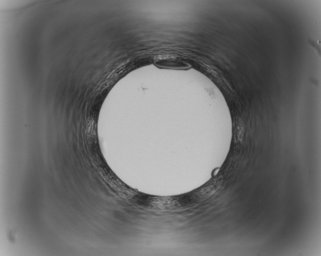 X0000100310521200806261205