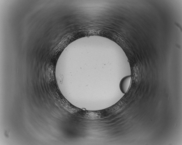 X0000100310522200806261205