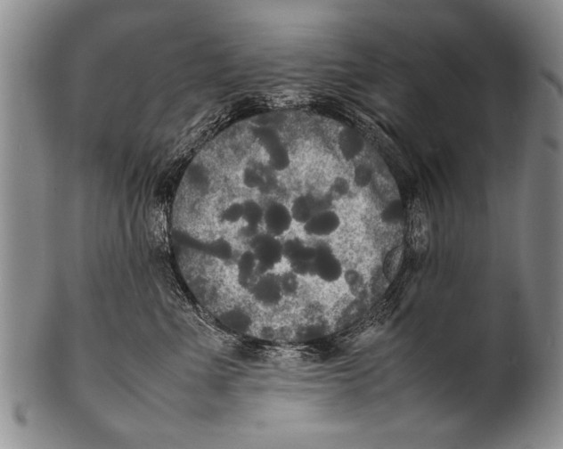 X0000100310523200806261205