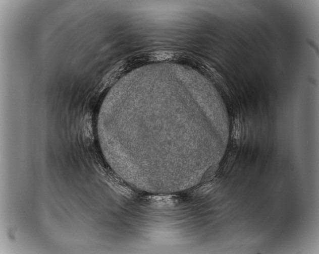 X0000100310524200806261205