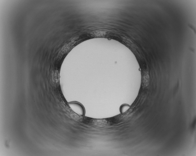 X0000100310525200806261205