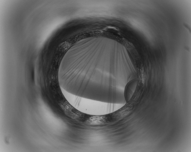 X0000100310526200806261205